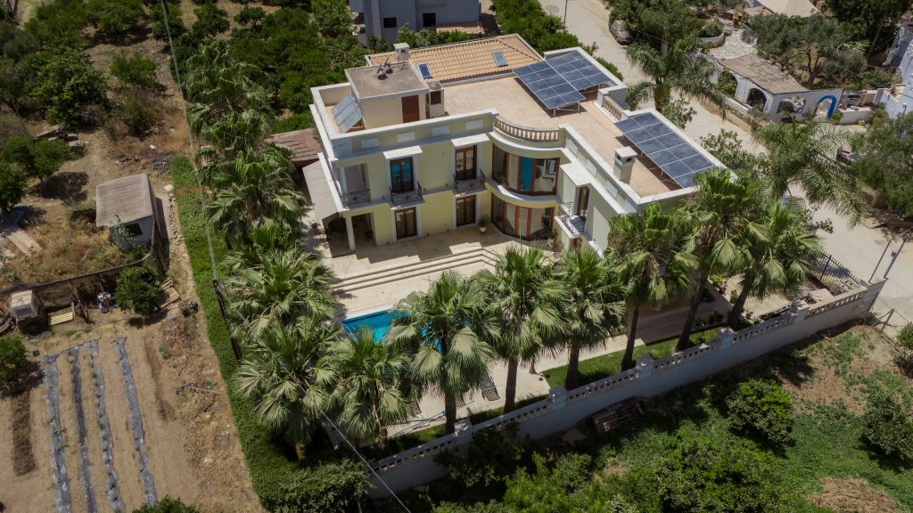 Property: PALMERA| image-44