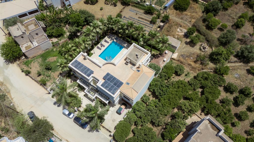 Property: PALMERA| image-73