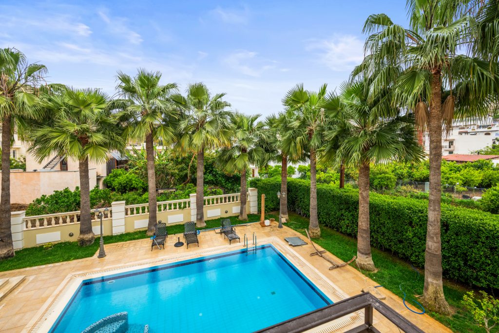 Property: PALMERA| image-15