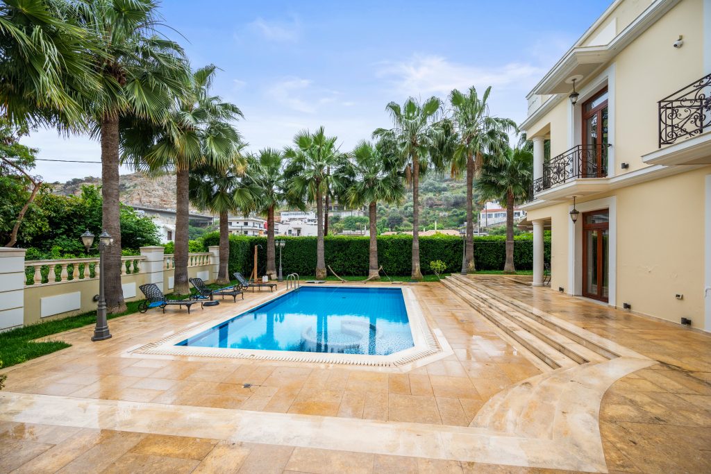 Property: PALMERA| image-42