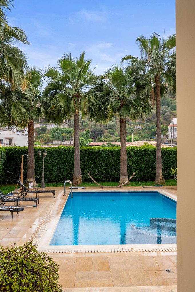 Property: PALMERA| image-36