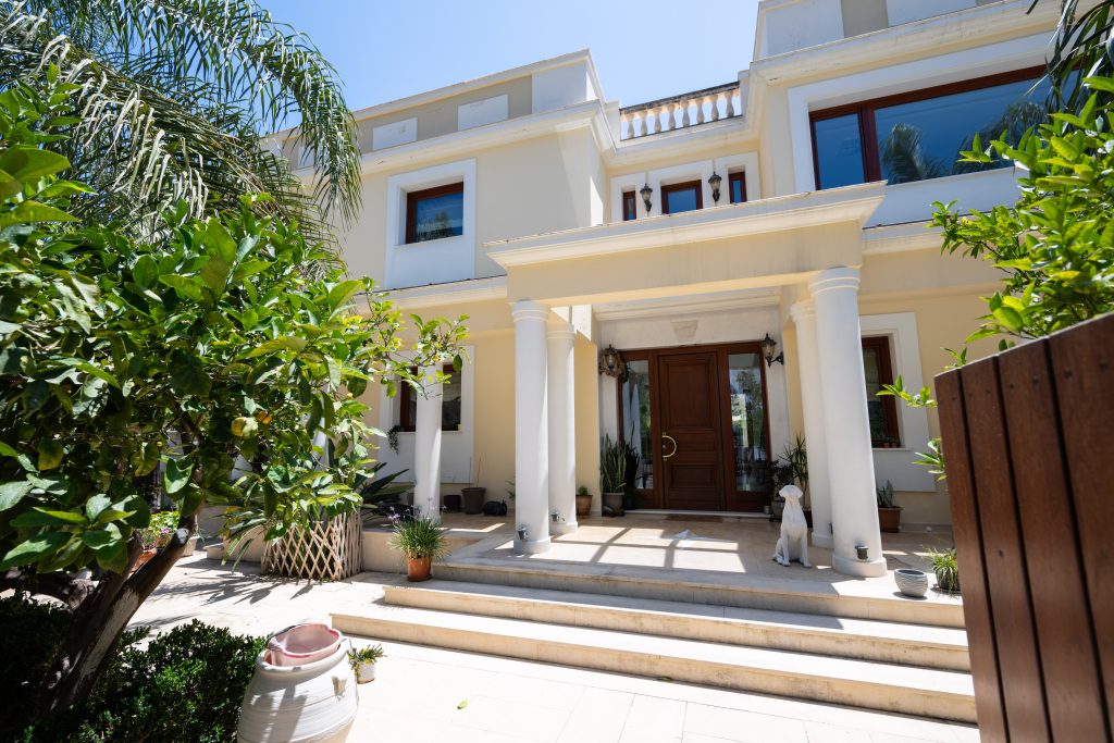 Property: PALMERA| image-53