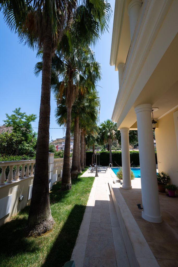 Property: PALMERA| image-10