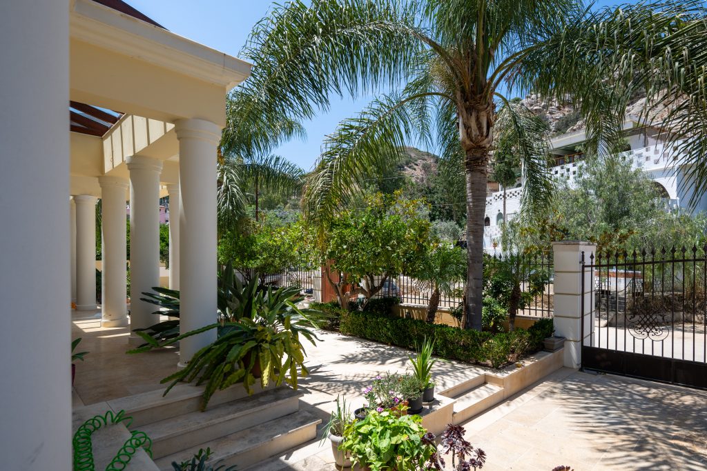 Property: PALMERA| image-64