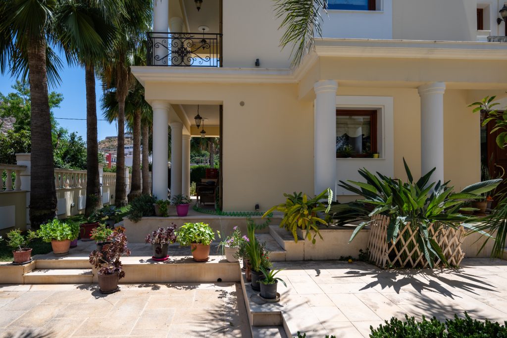 Property: PALMERA| image-65