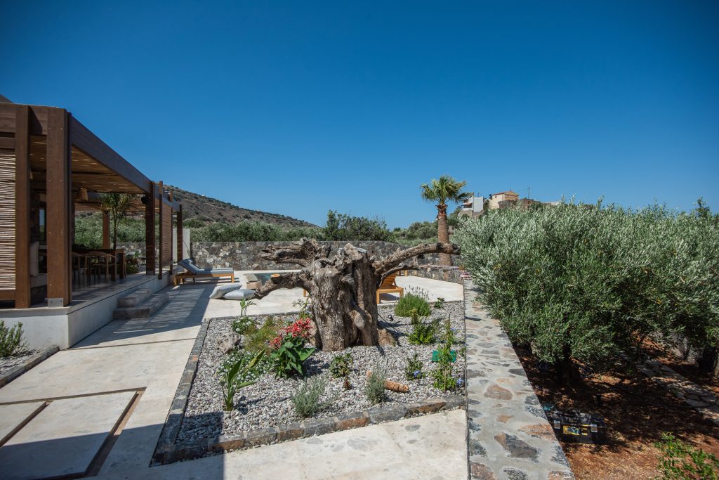Property: DELION| image-24