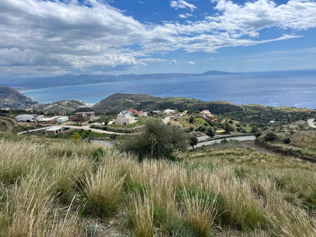 Property: MELORA| image-13